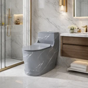 Modern One-Piece Commode