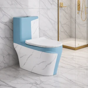Soft Close One-Piece Commode